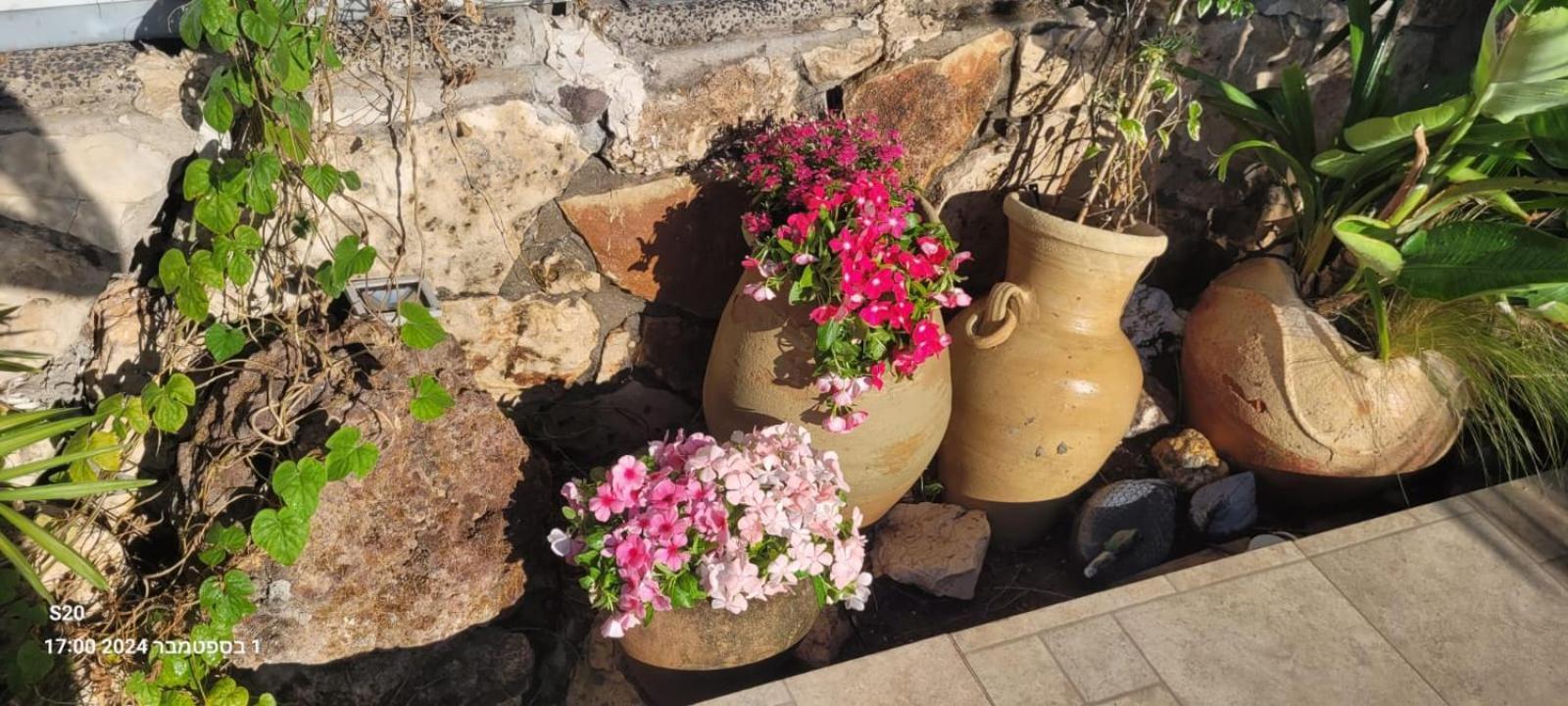 Apartment Beit Nofesh